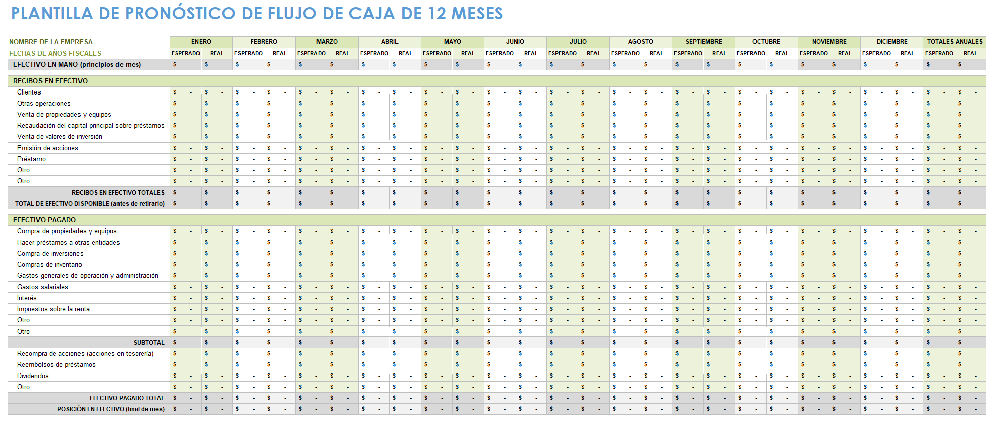 Previsión de flujo de caja a 12 meses